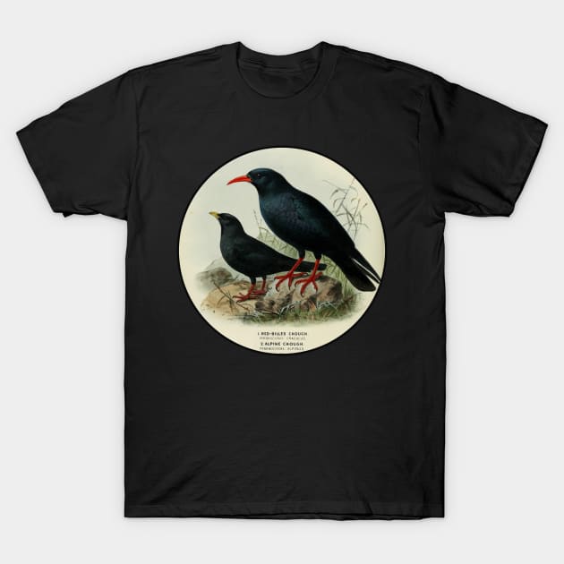 Vintage Bird Lover Retro Birdwatching Lover Gift T-Shirt by IngeniousMerch